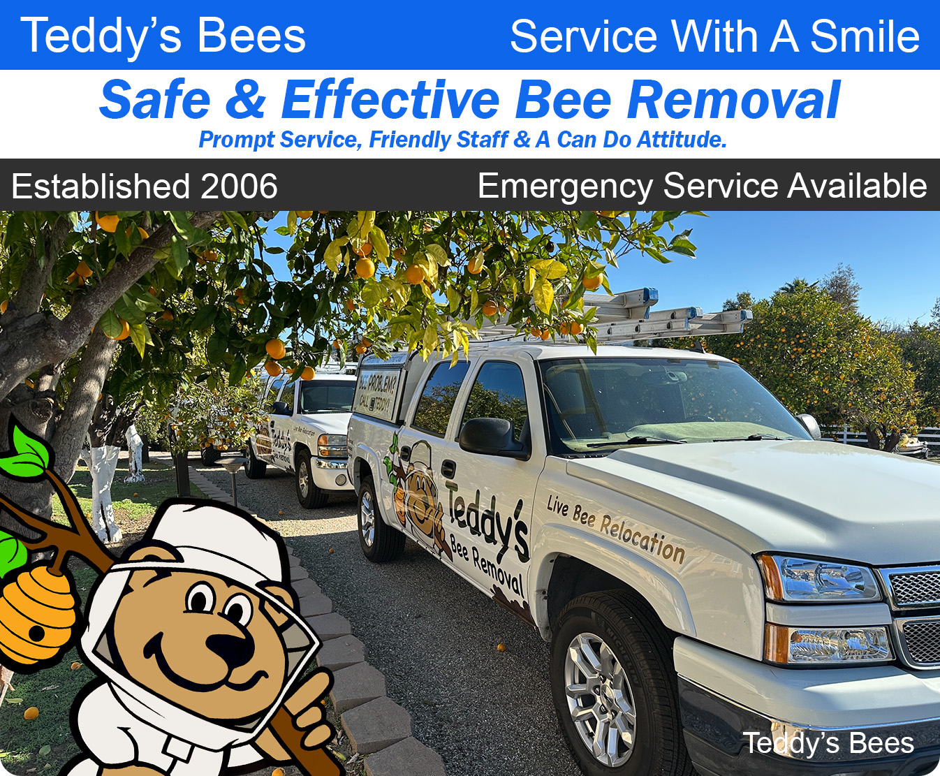 picture of teddys bee removal company trucks in front of a customers home.